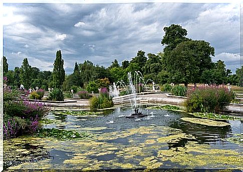 Hyde Park in London, one of the most beautiful parks