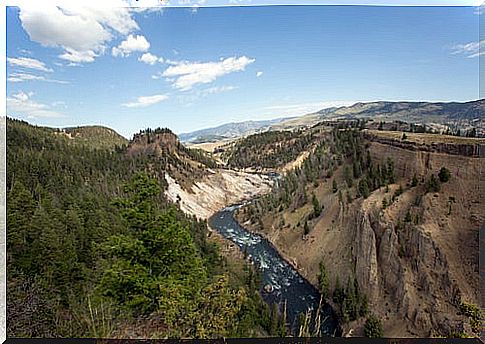 Landscape of Yellowstone, one of the national parks