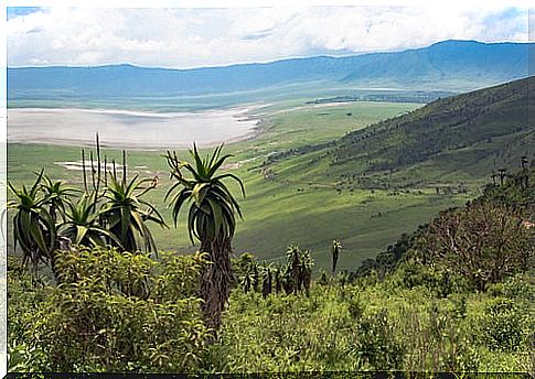 Ngorondoro Crater in the Serengeti