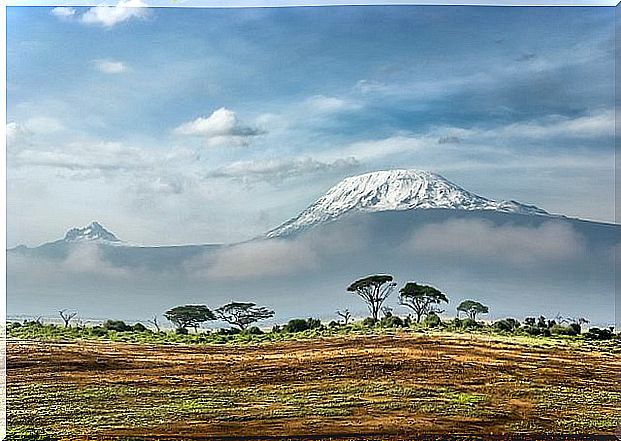 Kilimanjaro, one of the best known African landscapes