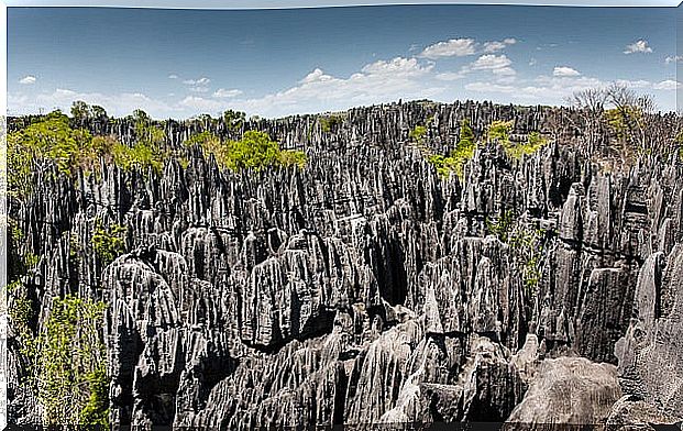 Tsingy de Bemaraha in Madagascar