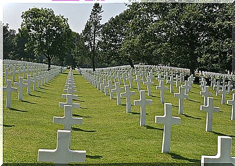 American cemetery in Normaníia