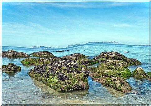 Cíes Islands in Galicia