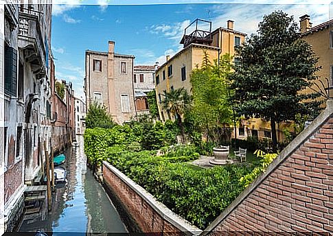 Garden in Venice