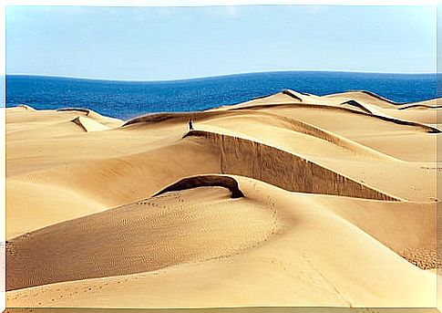 Dunes in Gran Canaria