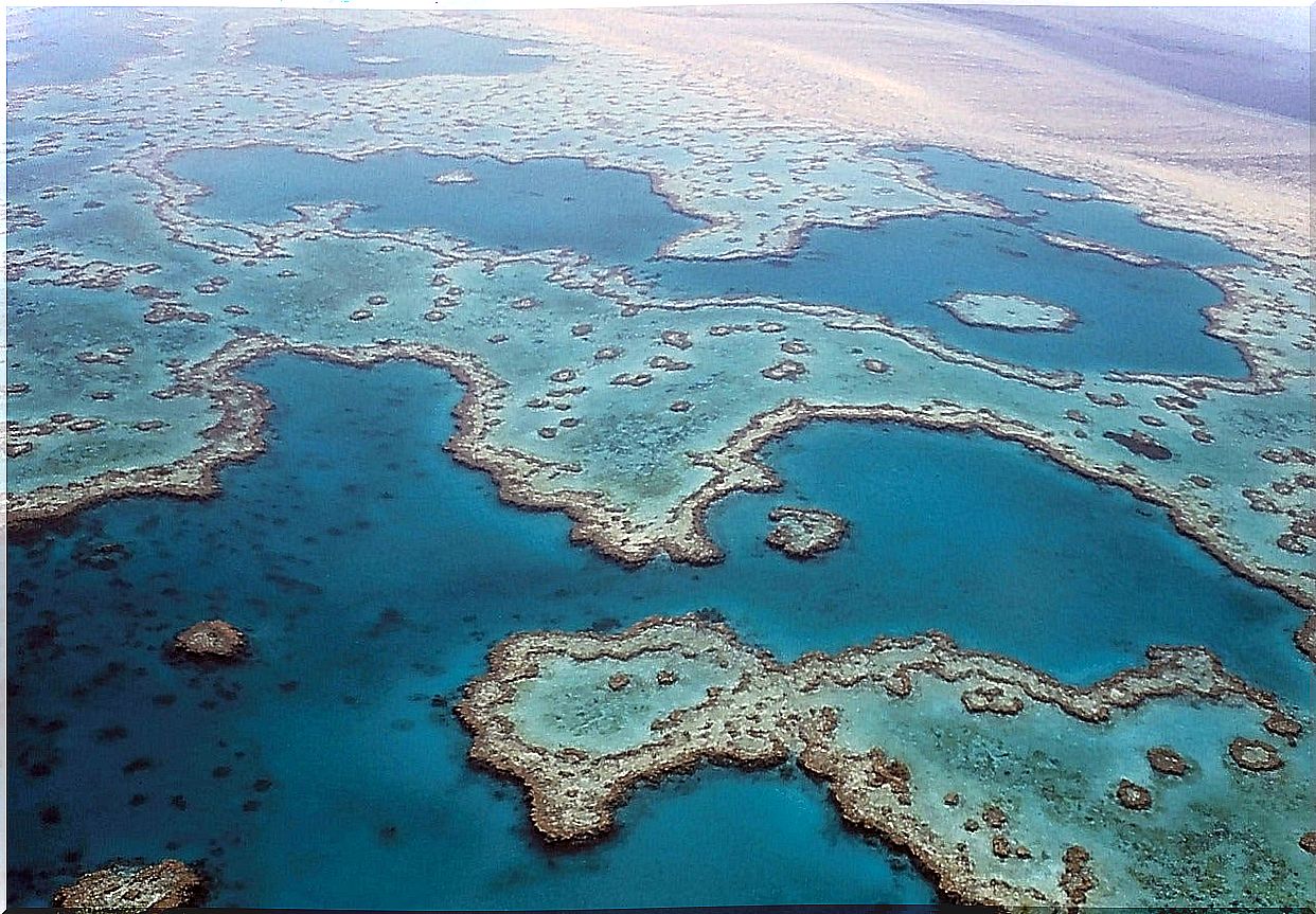 View of the Great Barrier Reef