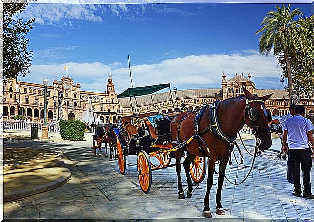 Horse-drawn carriage on a getaway to Seville