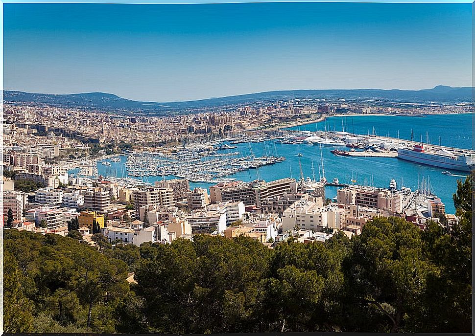 6 fantastic activities to do in Palma de Mallorca