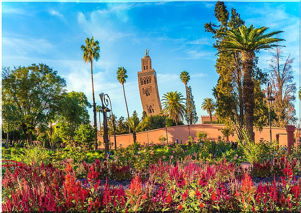 7 excursions in Marrakech that you must do