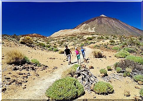 Cañadas del Teide in Tenerife