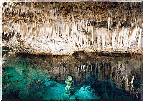 Cristas Caves in Bermuda