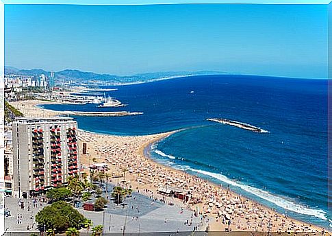 The Barceloneta