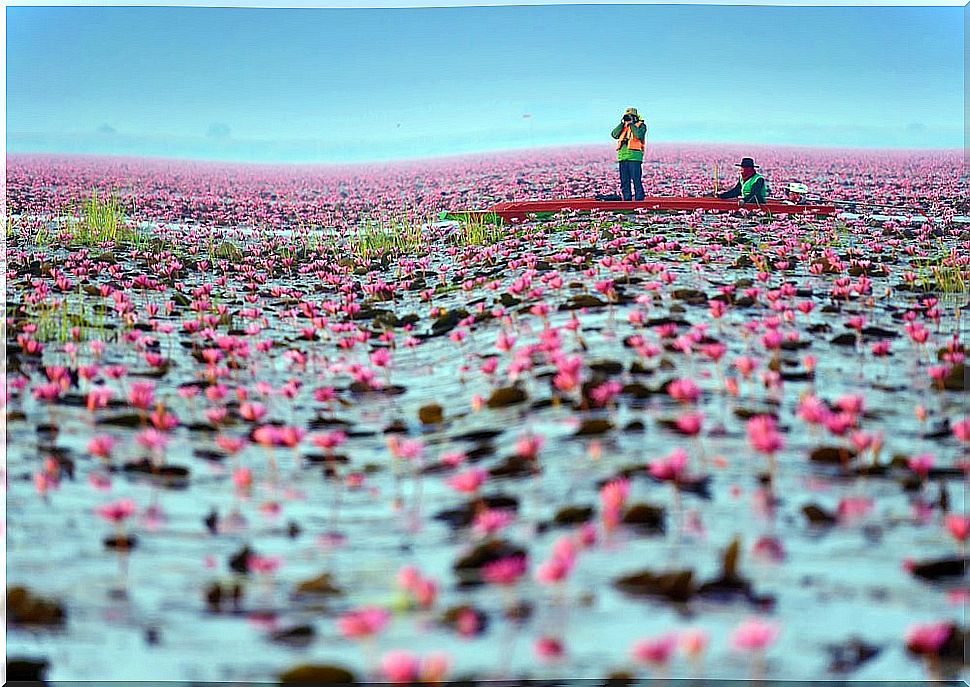 Nong Han in Thailand