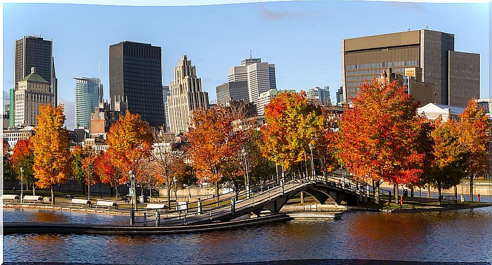 Old Port of Montreal