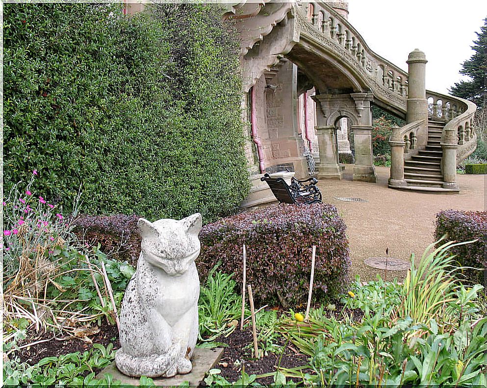 Cat in the garden of Belfast Castle