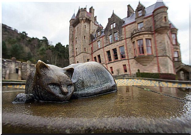 Belfast Castle Gardens