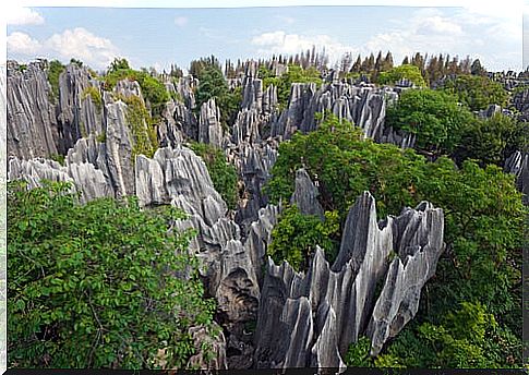 A walk through the Stone Forest in China