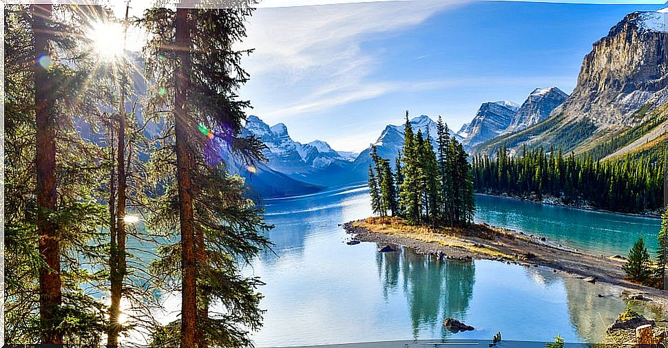 Alberta in Canada: 5 places to visit