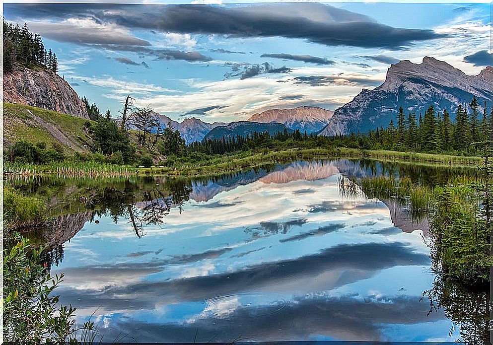 Rocky Mountain in Alberta