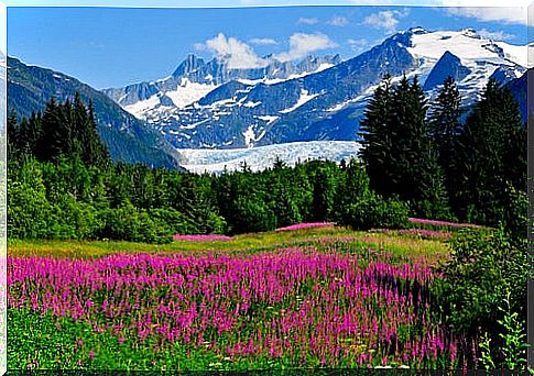 Amazing landscapes of Alaska