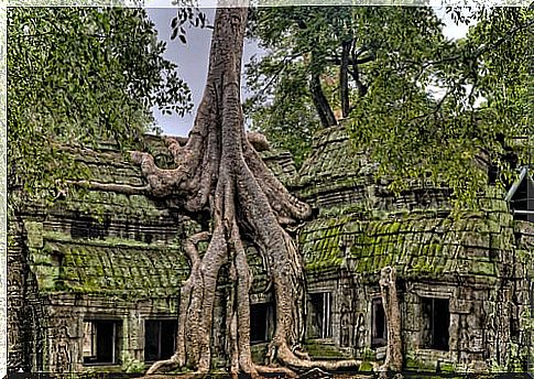 Angkor Wat in Cambodia