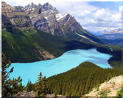 Peyto Lake in Canada