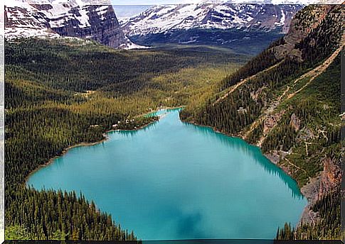 Lake O'Hara in Canada