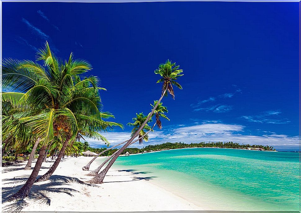 Fiji Islands in the Pacific