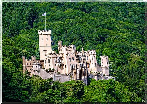 Rhine castles, Stonzenfelds