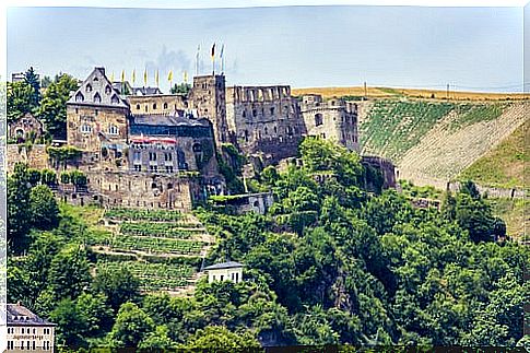 Rhinfelds Castle on the Rhine