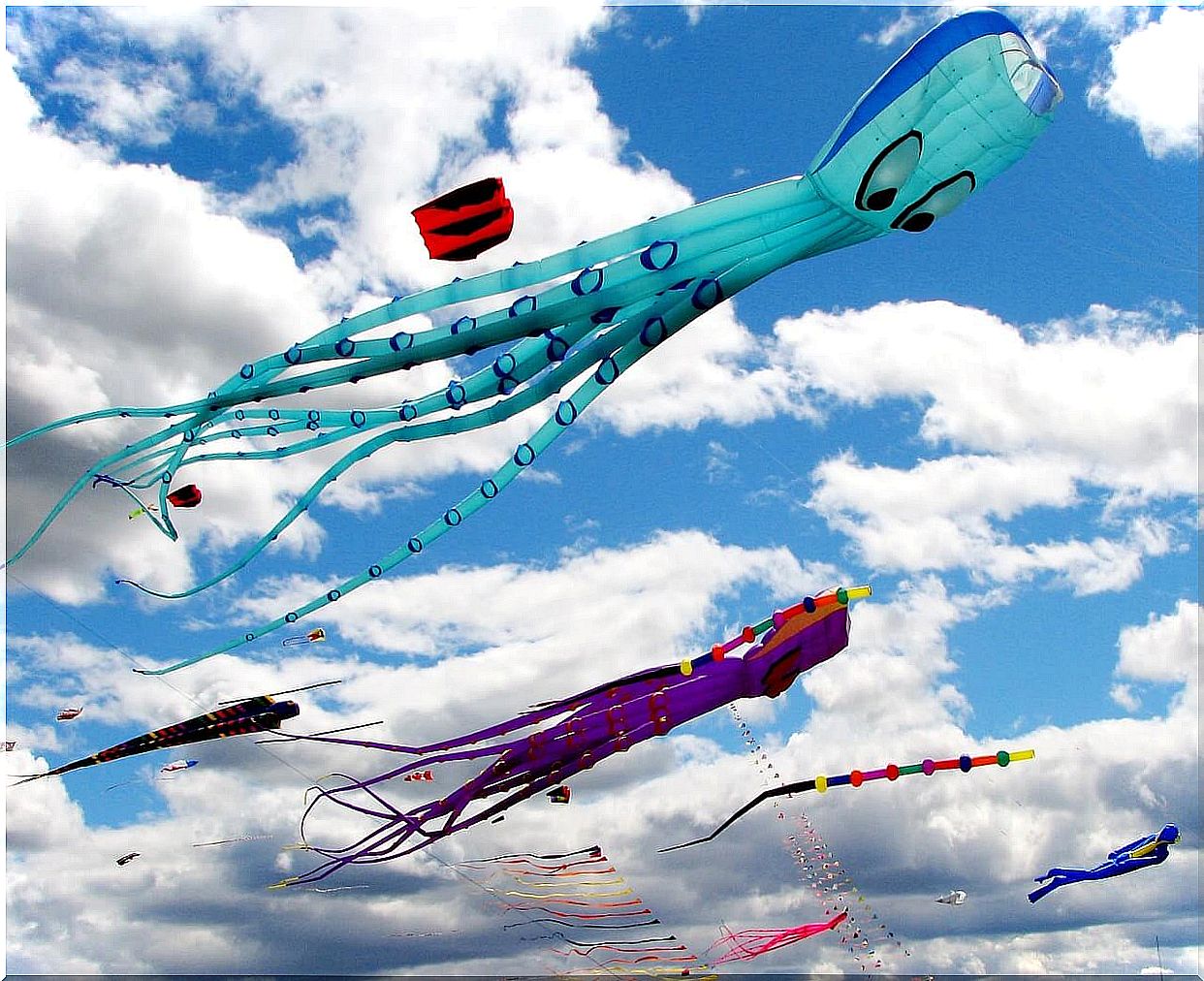 5 fabulous kite festivals in the world