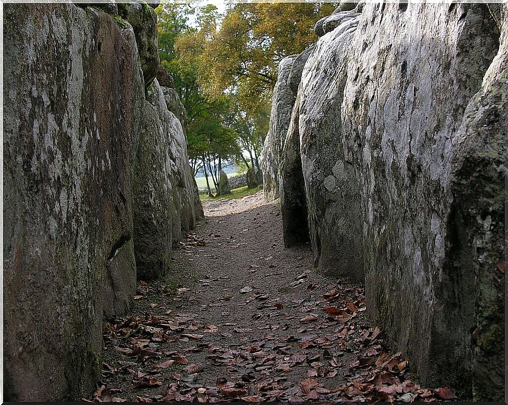 Clava Cairns Hall