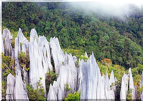 Gunung Mulu Park in Malaysia