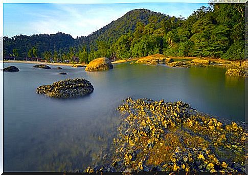 Pangkor Island