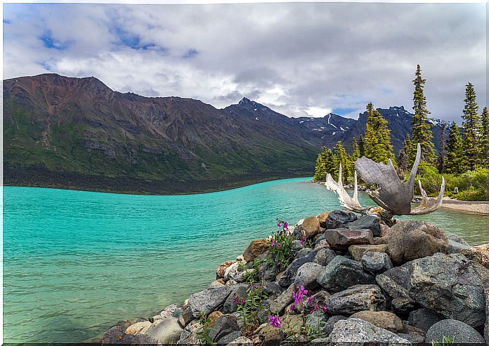 Discover Lake Clark National Park in Alaska