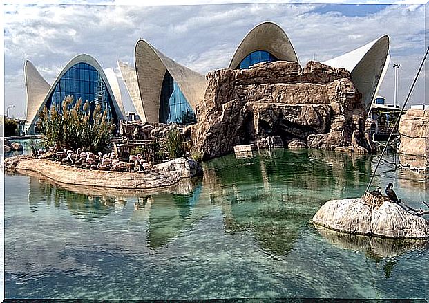 The Oceanogràfic of Valencia, a place for children