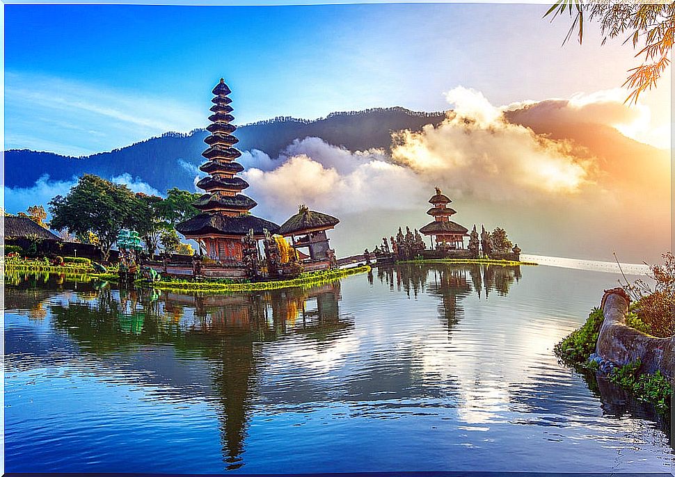 Discover the 8 things you can enjoy in Bali