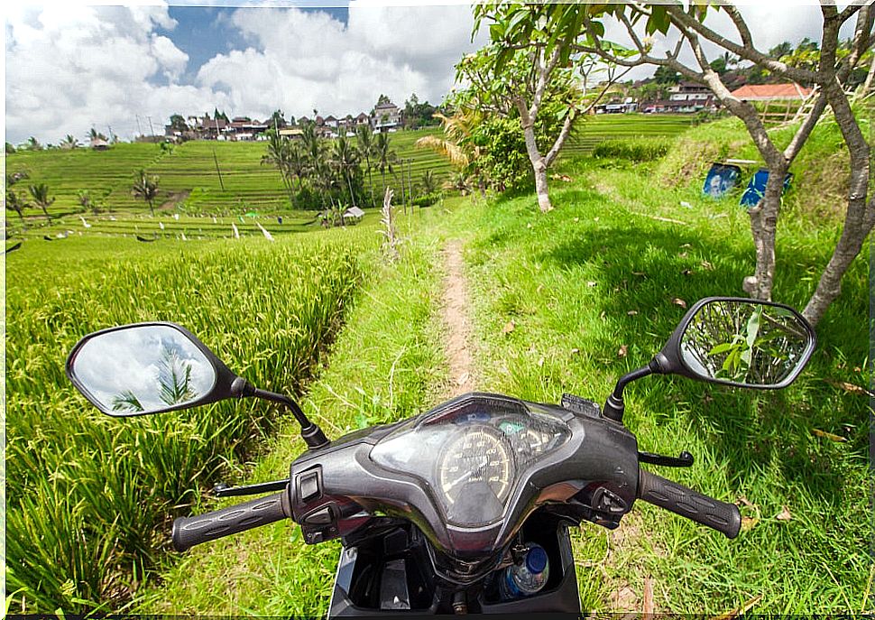 Motorbike in a rice field in Bali