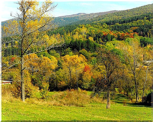 Vistosha Park, one of the must-see places in Bulgaria