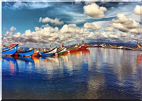 Boats in Aveiro