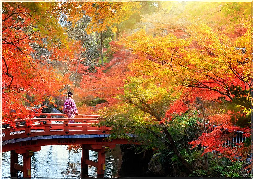 Kyoto in autumn