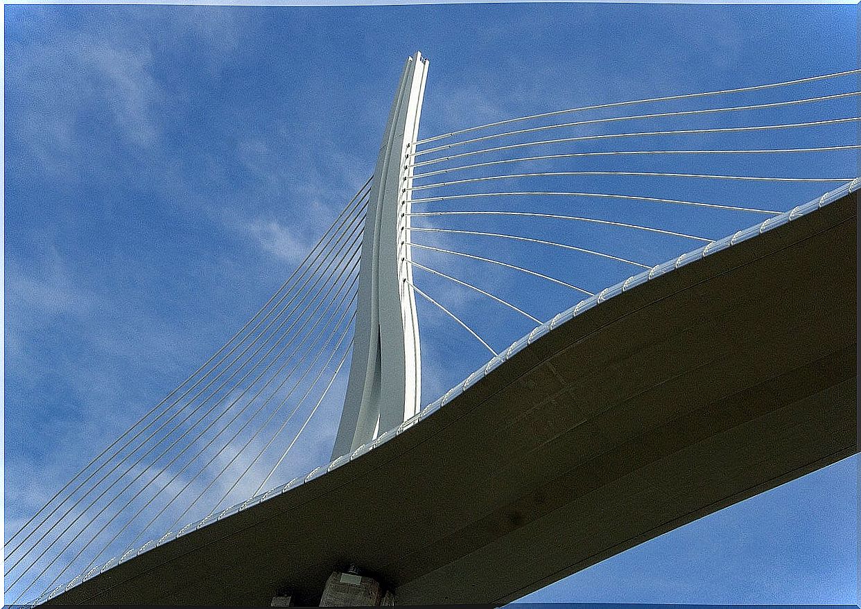 Millau Viaduct from the bottom