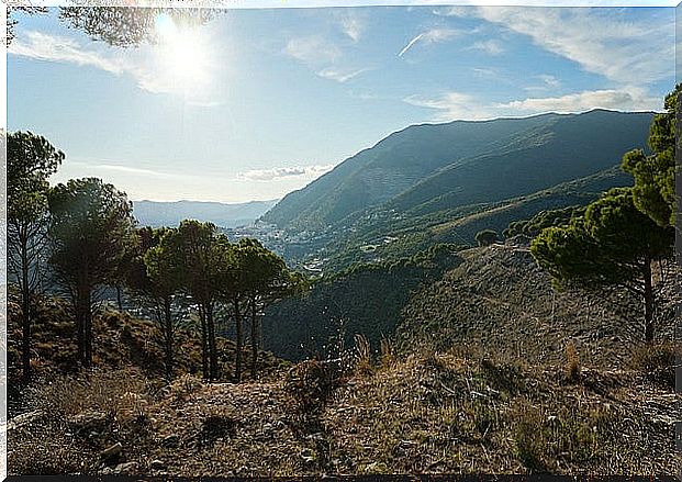 Sierra de Mijas 