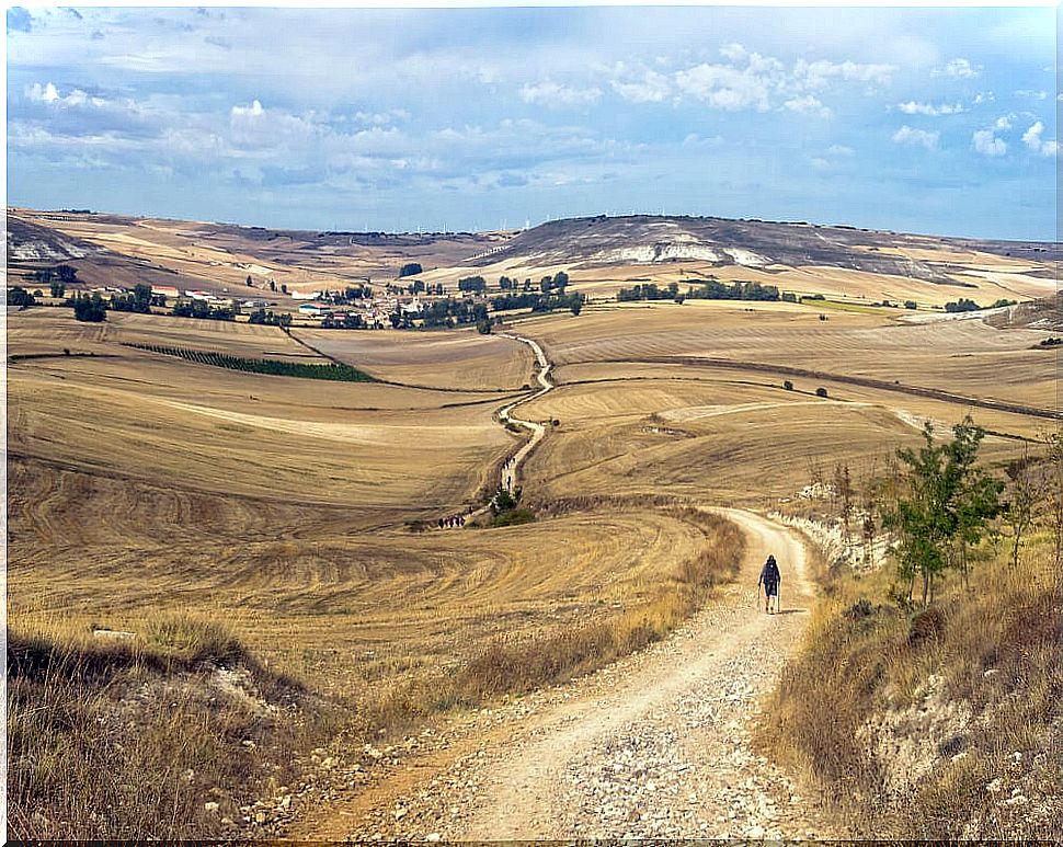 Central plateau