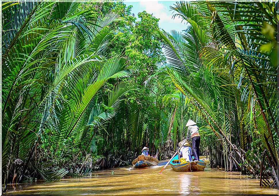 Mekong River Delta