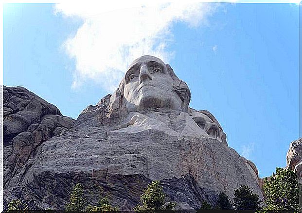 Face on Mount Rushmore