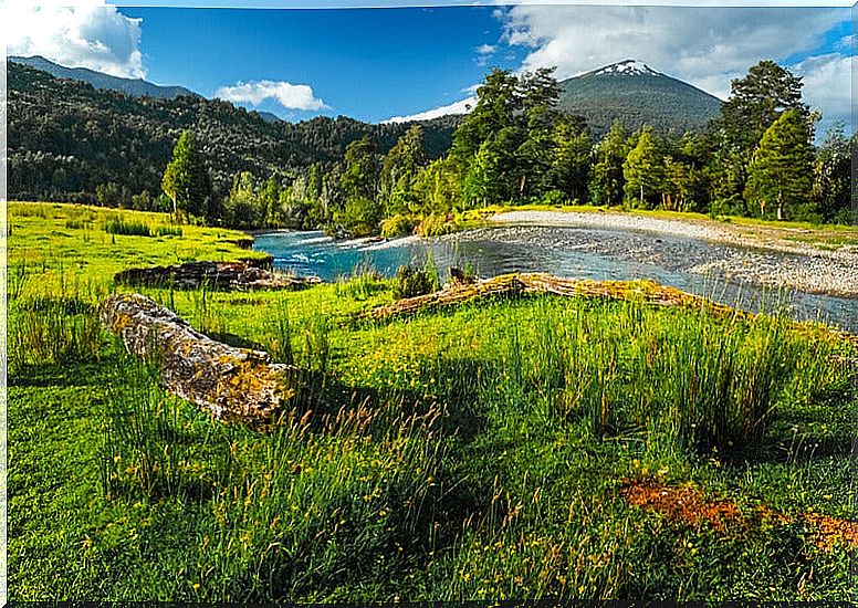 Hornopirén National Park: discover a paradisiacal site