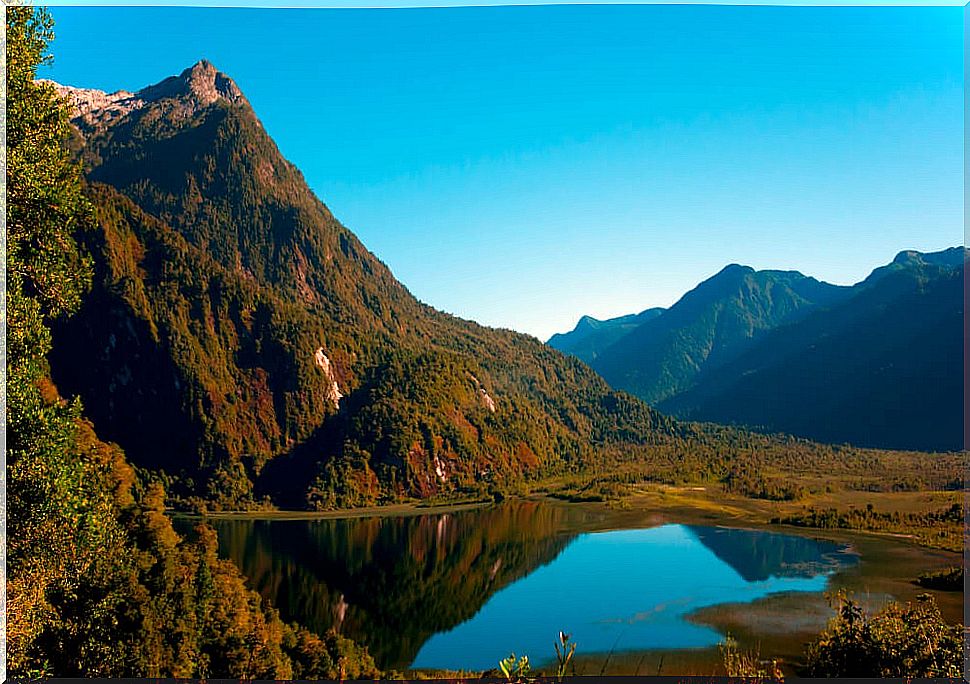 Hornopirén National Park landscape