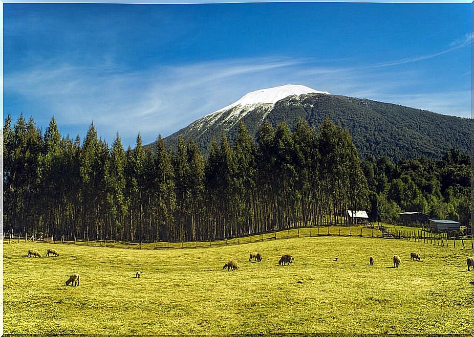 Hornopirén National Park landscape