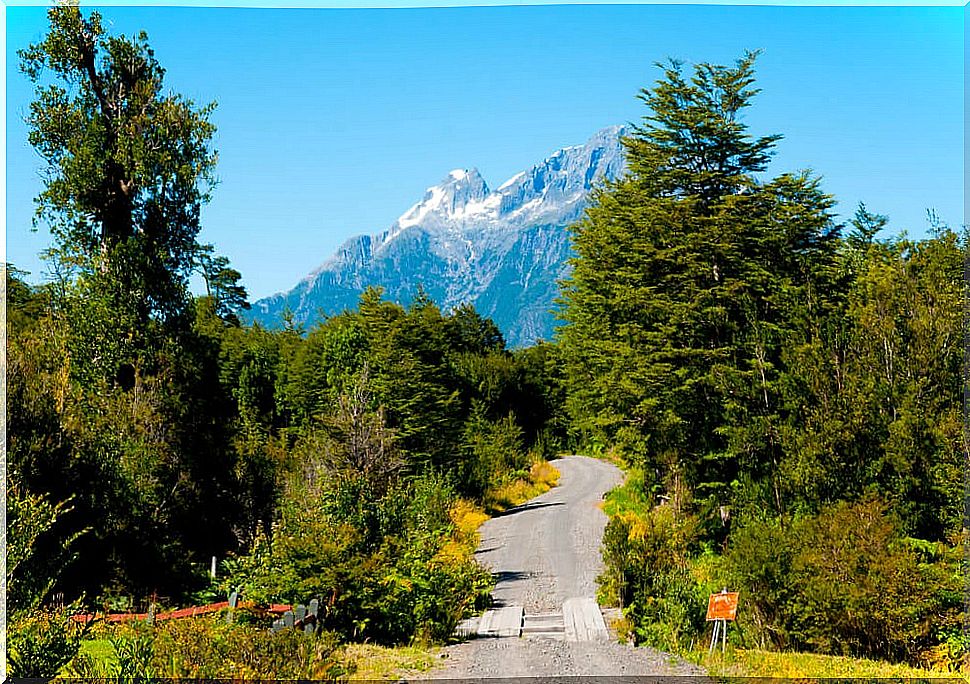 National park landscape